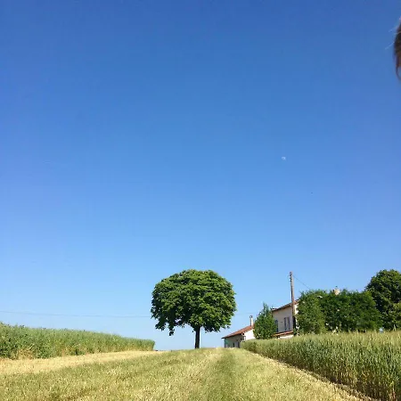 Le Texier The Verteillac