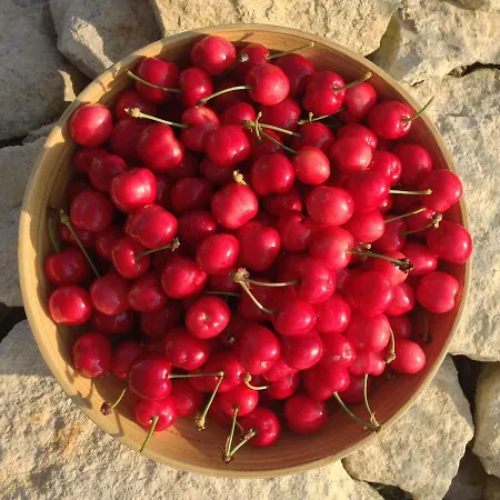 Le Texier The 度假居 *