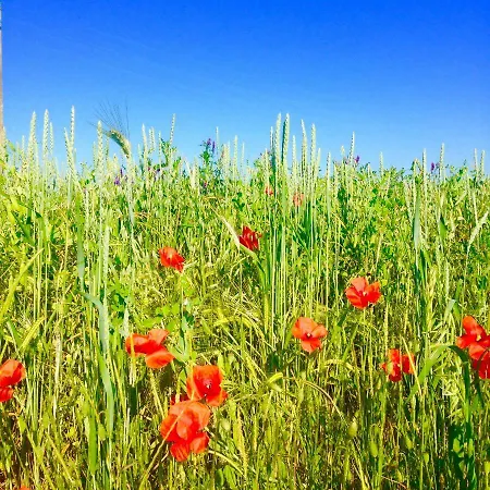 Le Texier The 度假居