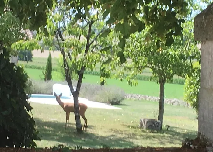 Le Texier The Nyaraló *