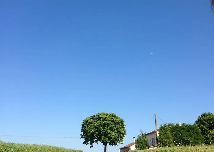 Le Texier The Verteillac