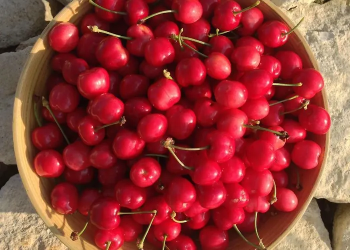 Le Texier The Nyaraló *